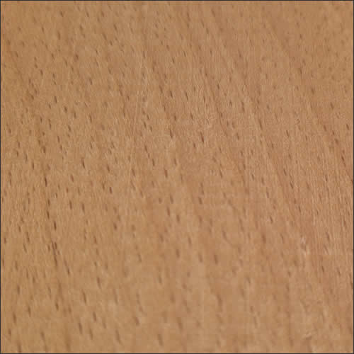 Beech wood