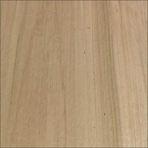 Poplar wood